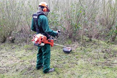 Echo SRM-420TES brushcutter - image: HW